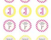 Sweet Tweet Bird Birthday Party Circles DIY Printable Personalized Cupcake Toppers Favor Tags 1st Birthday