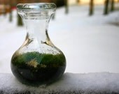 Moss Terrarium, Green, Summer, Garden, Fathers Day Gift