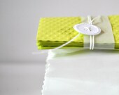 Note Set x 5 Lime Embossed Dots