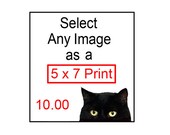 5 x 7 Print - Select Any Image You Like as a 5x7 Print