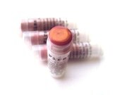 Romantic Valentine Rose Vanilla Nude - Tinted Lip Balm in Berry Rose Blush Pink  SEE 2nd pic for color when applied
