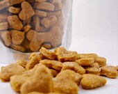 All Natural Cat Treats--Pumpkin & Catnip Flavor With Cheddar--Gourmet Healthy 7oz