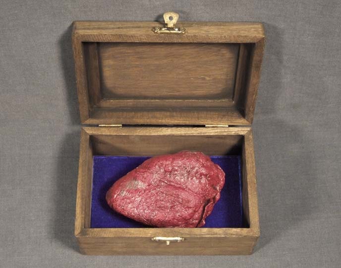 GOAT HEART OSSUARY animal spirit totem for cabinet of curiosities or natural history science display
