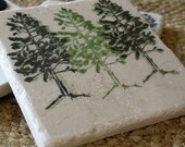 Pine Tree Tile Coasters, Set of 4, Ready to Ship