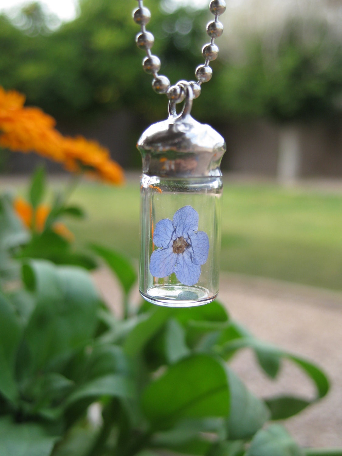 Glass Vial Pendant with a Real Forget Me Not Flower