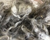 Scoured Grey Gotland Fleece - 4oz Soft Spinning Carding Felting Fiber