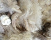 Scoured Light Grey Romney Fleece - 4oz Spinning Carding Felting Fiber