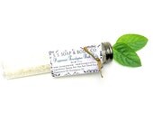 Peppermint Eucalyptus Bath Salts with Dead Sea Salt