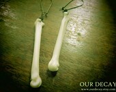 My, what big bones you have - earrings real animal bone cleaned wire wrapped canine coyote