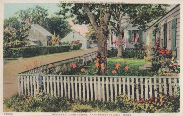 Sconset Door Yards, Nantucket postcard. Gardiner, PHOSTINT
