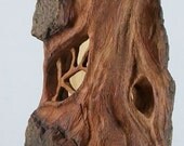 Mystical Fairy House hand carved Cottonwood Bark