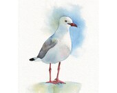 Seagull Painting  -  Print of watercolor painting - 5 by 7 print - Splodgepodge