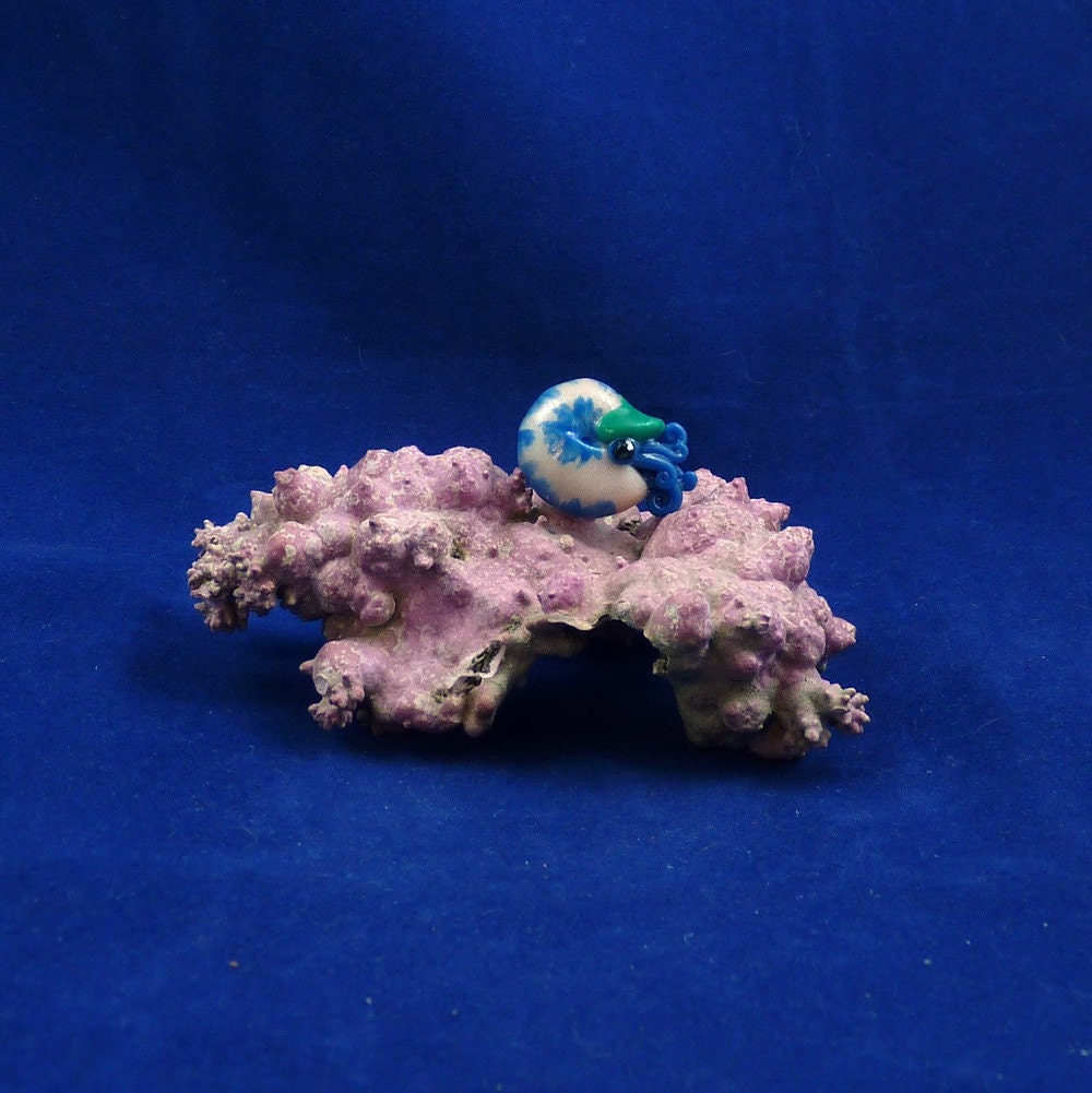Arctic Water Nautilus Pin - Polymer Clay Cephalopod Jewelry