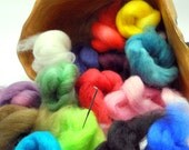 Needle Felting Kit - hand dyed wool - handdyed handpainted