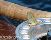 Mayfly on Lough Corrib