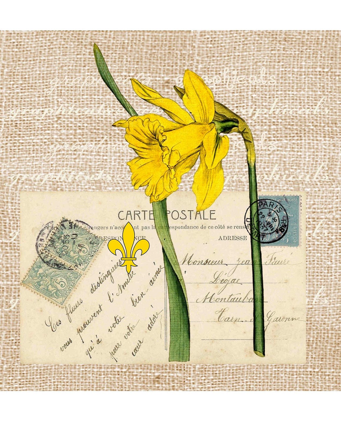 Paris spring digital download image Vintage daffodil French ephemera Carte Postale transfer to fabric paper burlap pillows tote bags No. 571