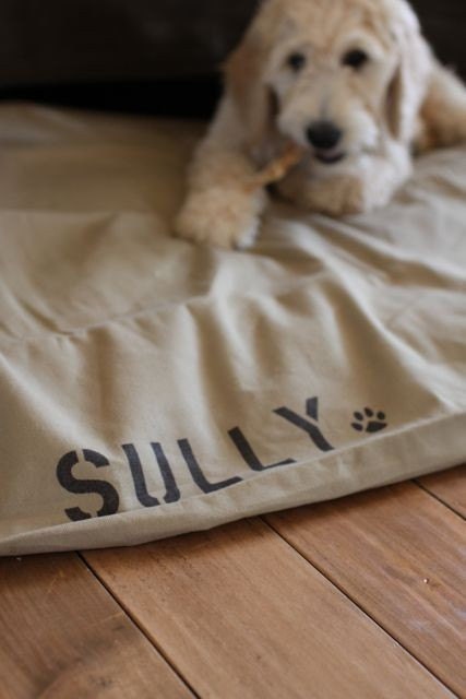 NEW Tough 15 OZ Water Repellant Duck Canvas in a Gorgeous Linen Color : XL 38x50 Tough Durable Dog Cat Pet Bed Duvet Cover