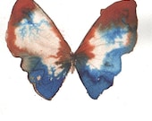 Pale brown, rust red and blue butterfly - metamorphosing
