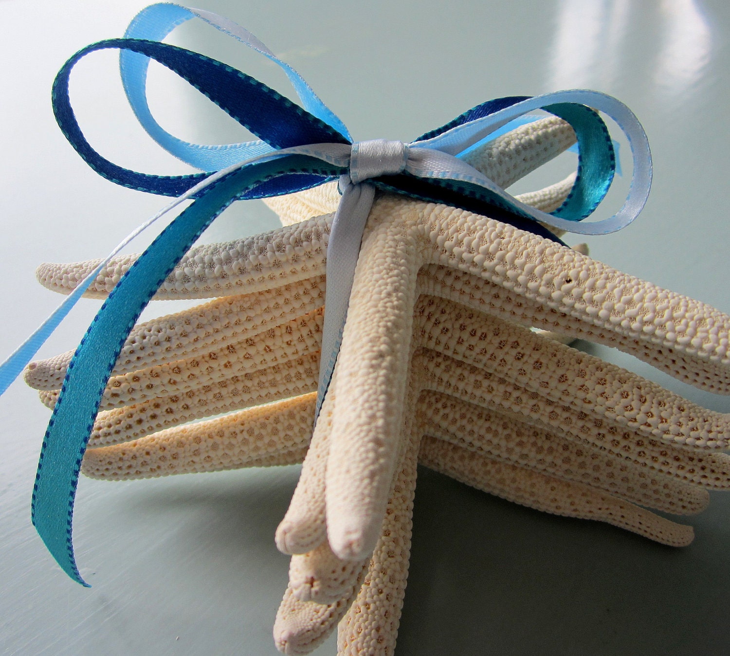 Beach Decor White Starfish Gift Set - Nautical Decor Gift Set of 6 Finger Starfish