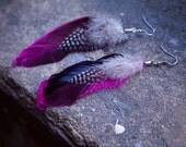 Bright Pink and Black Dotted Feather Earrings