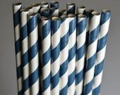 Stripe Navy Blue Party Paper Straws - Cake Pop Sticks - Pixie Sticks - Qty 25