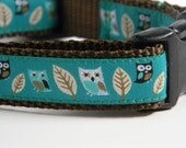 Owl Dog Collar- Teal Night Owls 3/4" Wide