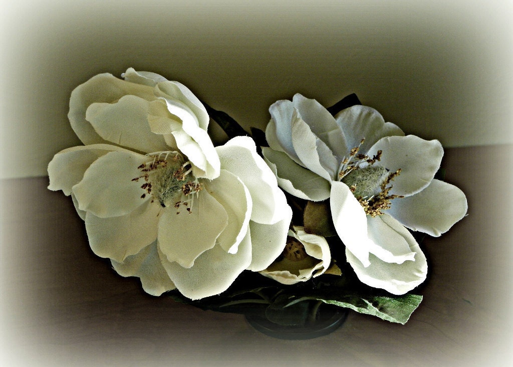 White Silk Flowers  5x7 Photo - rbfphotos