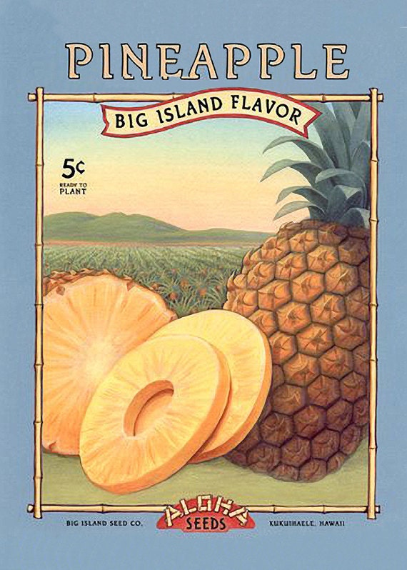 Vintage Hawaiian Aloha Seed Packet Prints Pineapple Coconut Ginger - Set of 3- Digital Reproductions 5 x 7