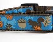 Squirrel Dog Collar- Fall Squirrels