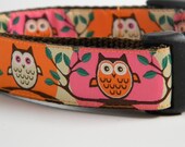 Owl Dog Collar- Cute Hoot 1" Wide Pink & Orange