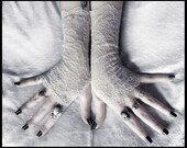 Odelette Lace Fingerless Gloves - Pale Dove Grey - Ivory Cream Blush Floral Embroidered - Gothic Vampire Regency Tribal Goth Austen Fetish