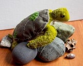 CUSTOM Green Sea Turtle - Made to Order Hand Stitched Soft Sculpture