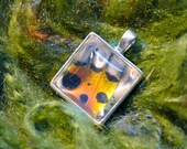 SALE Real Moth Wing Pendant