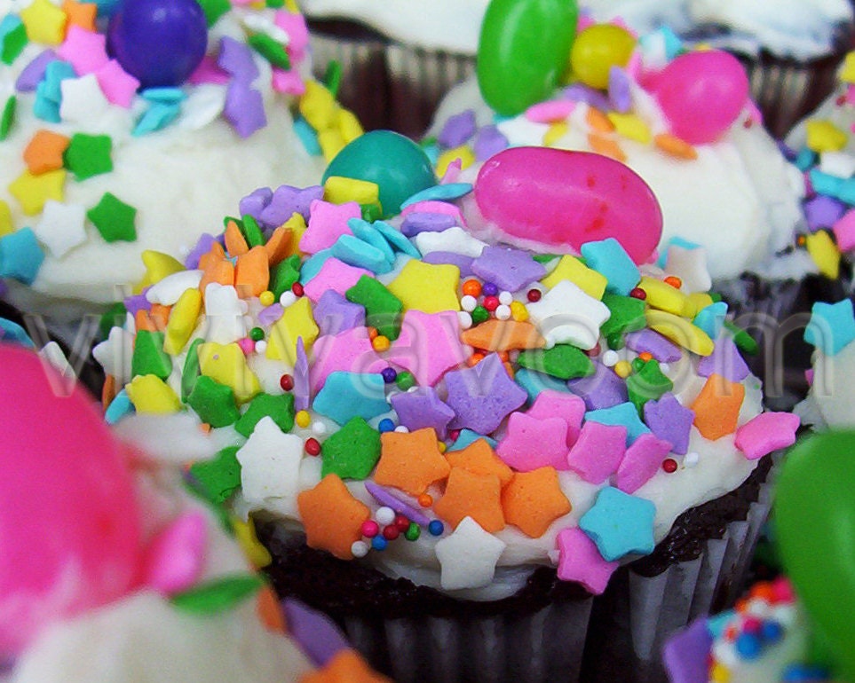 Chocolate cupcakes vanilla icing rainbow stars sprinkles and jelly beans close up photograph 8 x 10