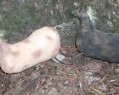 Primitive Horses Paco and Little Cloud