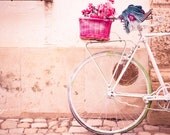 BOGO SALE - The Lady in White Original Signed Fine Art Photograph - vintage bike white pink basket scarf roses