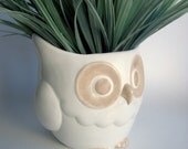 Ceramic Owl Planter, White and Beige - modclay