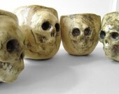skull shot cups