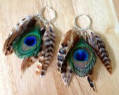 Massive Feather Earrings
