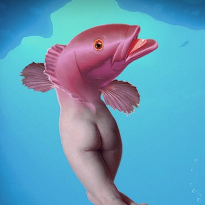 Fish Head Mermaid Variation  8x10
