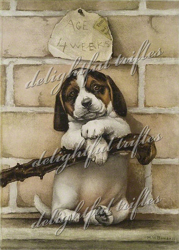 Sweet Puppy Portrait Vintage 5 x 7 Digital Reproduction Print