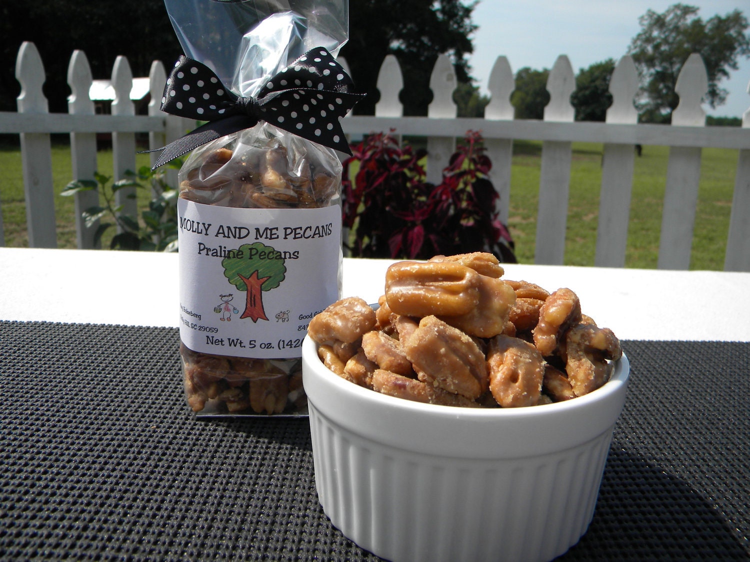 Praline Pecans - From our Farm to You
