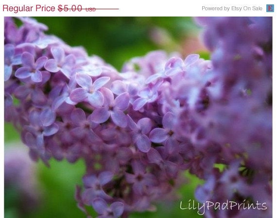 Mothers Day Sale Lavender lilacs blank photo note card by lilypadprints on etsy