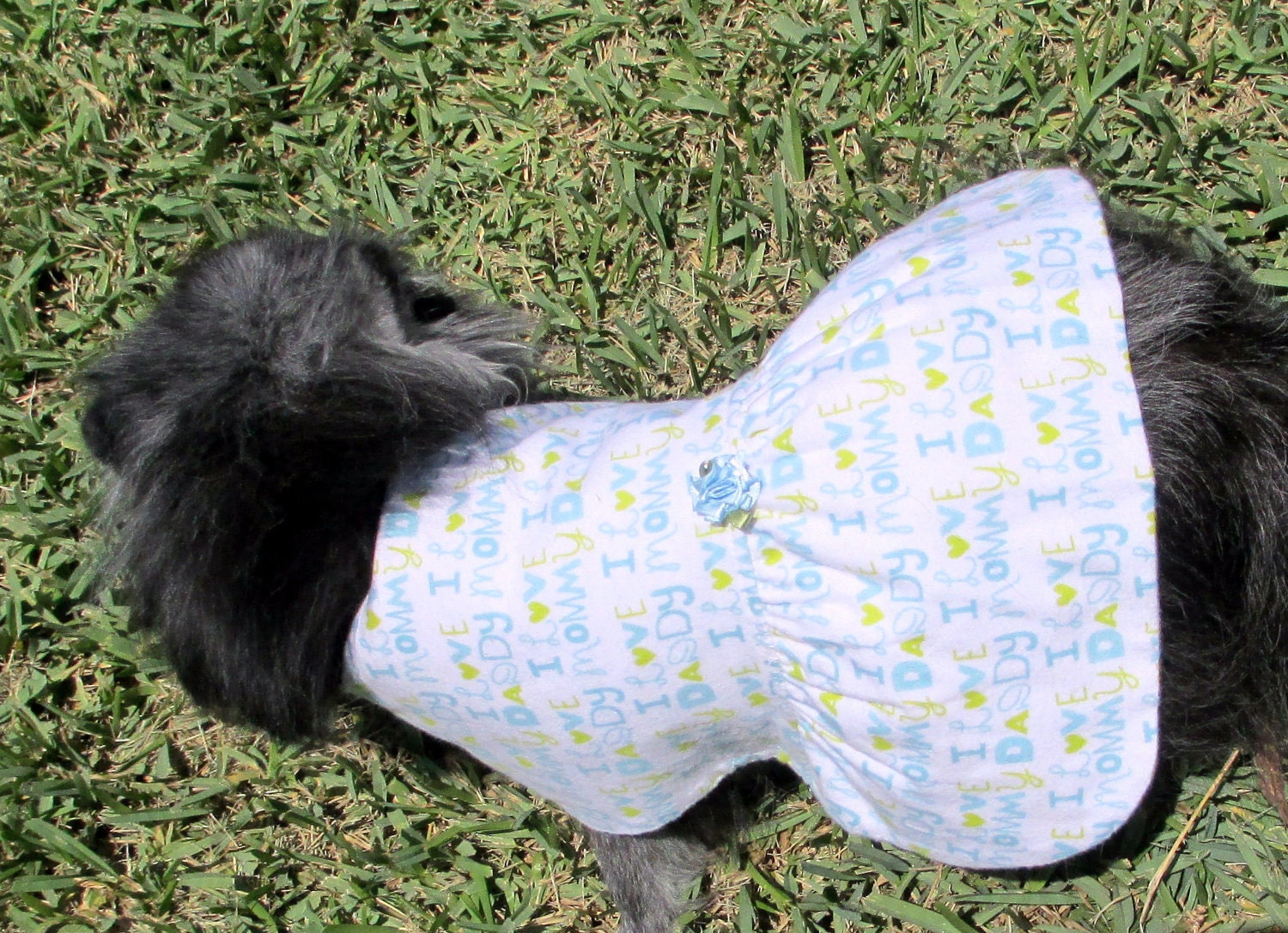 Dog Clothes - Dog Coat Toy Breed - White, Sky Blue & Avocado Flannel Dress