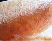 Apple / Rhubarb Real Fruit Leather - Shipping included in price