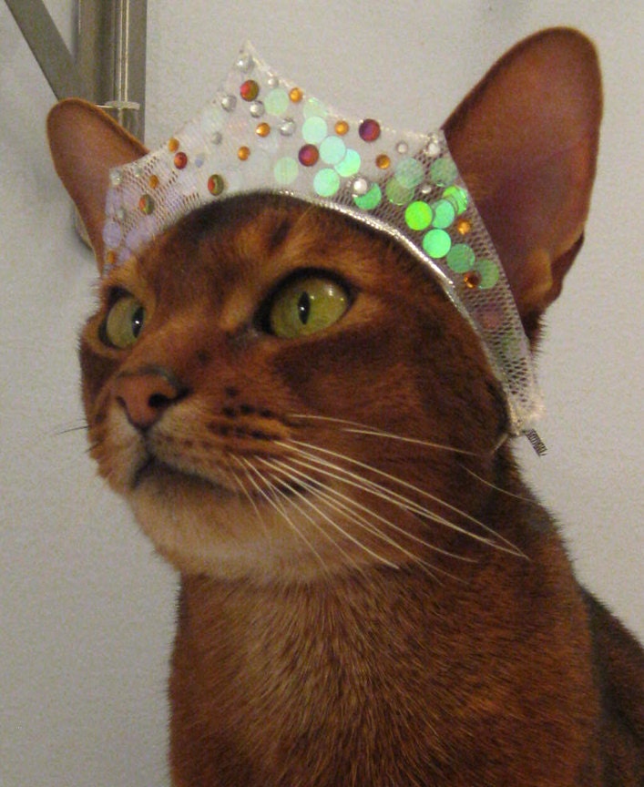 Princess Tiara with Swarovski crystals and sequins