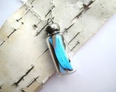 Butterfly Study Necklace- real butterfly wings inside a glass bottle, blue morpho