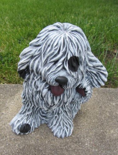 Molly the furry Dog