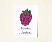 Nursery Art Spring Fruit Raspberry - 5x7 Fine Art Print - Pink Botanical Garden Nature Farmers Market baby girl minimalist