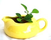 Vintage Bright Sunny Yellow Creamer Pitcher Server Ceramic Pottery - recreated1